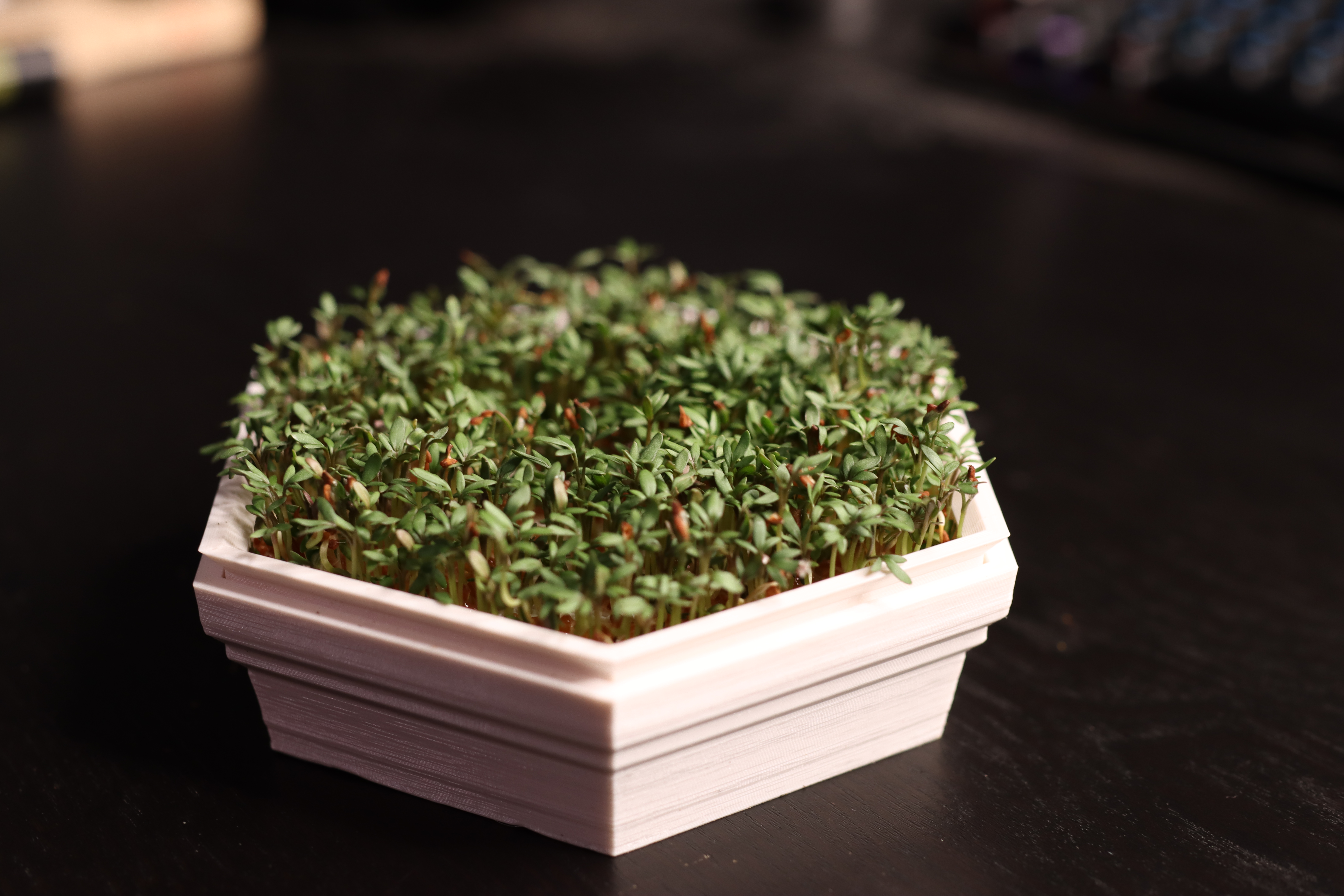 Cress Seed Planter