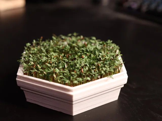 Cress Seed Planter