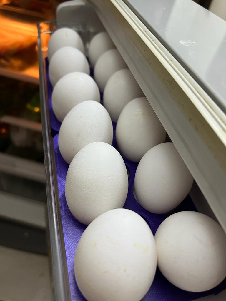 Egg Tray - Refrigerator