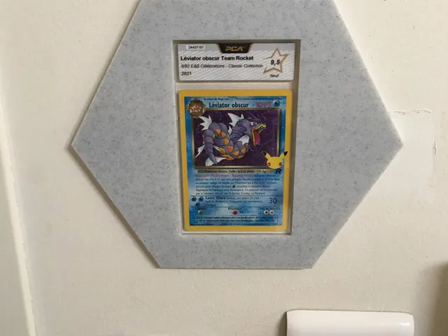 card display Pokemon ( cadre carte pokemon)