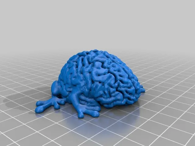 Leaping Brain