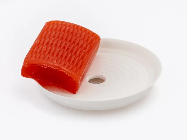 SOAP DISH