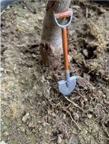 Shovel RC accessory