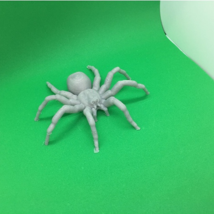 Fake Tarantula by Oxyg3n | Download free STL model | Printables.com