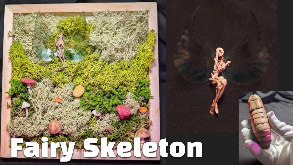 Fairy Skeleton