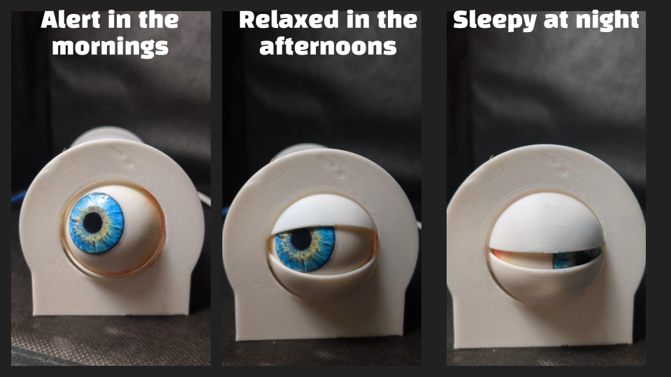 Animatronic Eye Clock — thumbnail 4