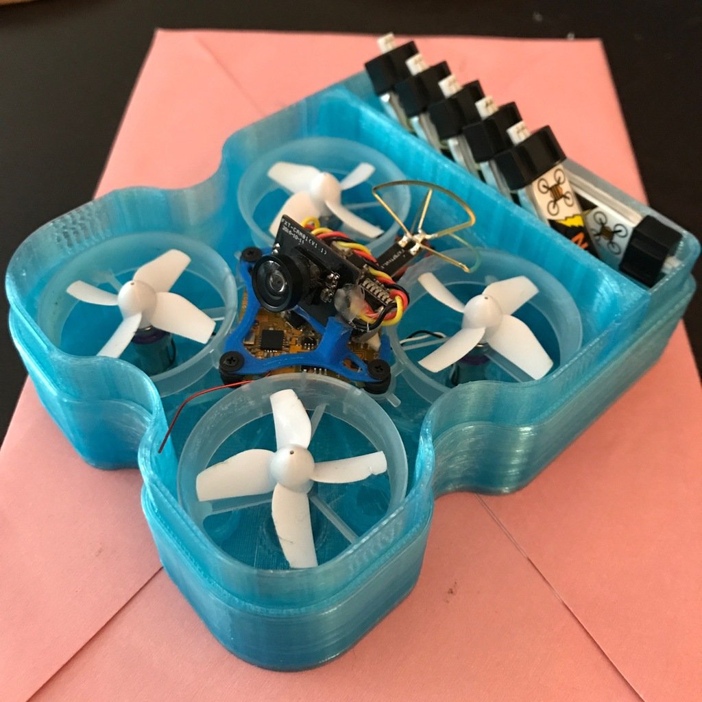 Improvised TinyWhoop Case for Modified MulletMod