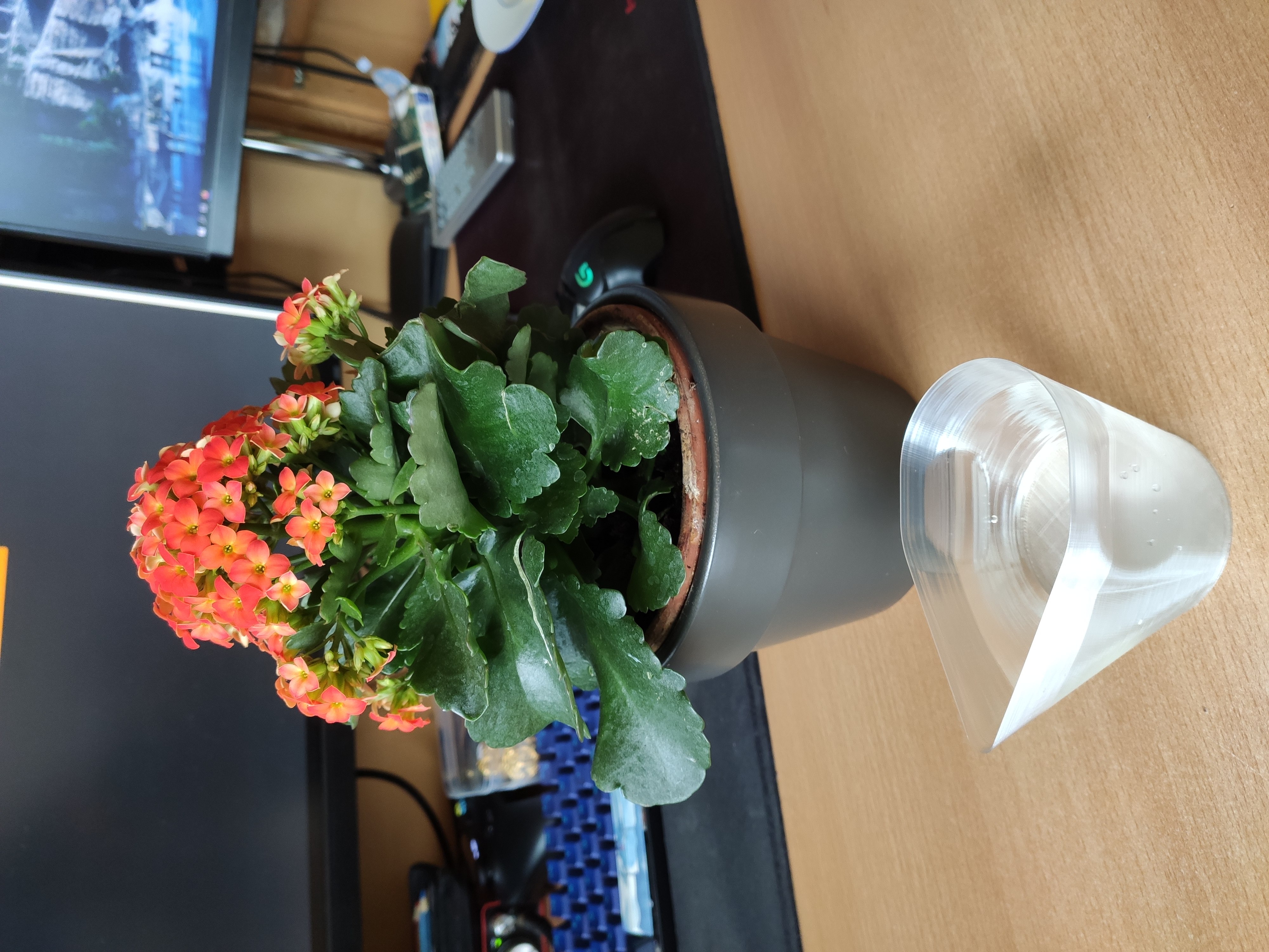 Mini Watering Can
