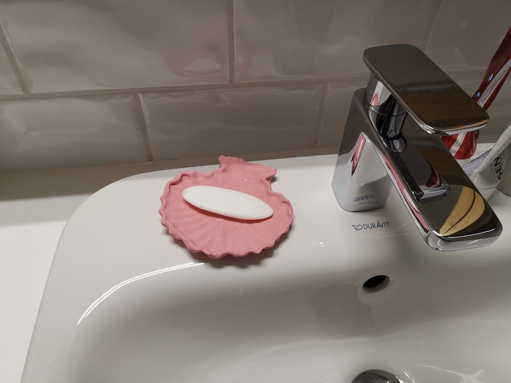 Seashell soap holder