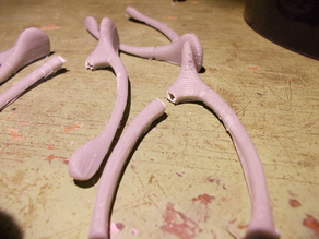prank wishbone