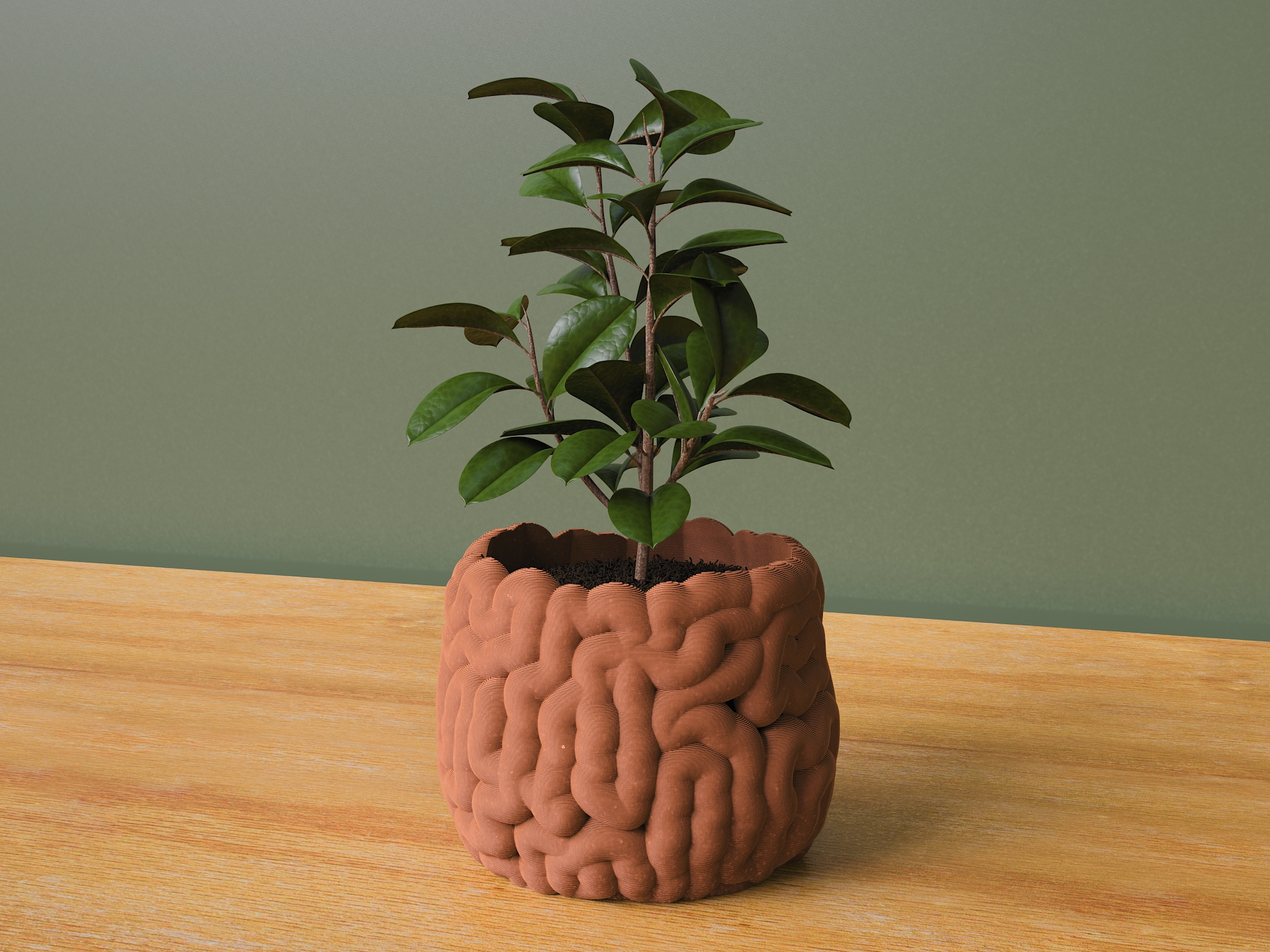 Brain Planter