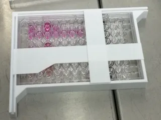 Search models: tag:microwellplate | Printables.com