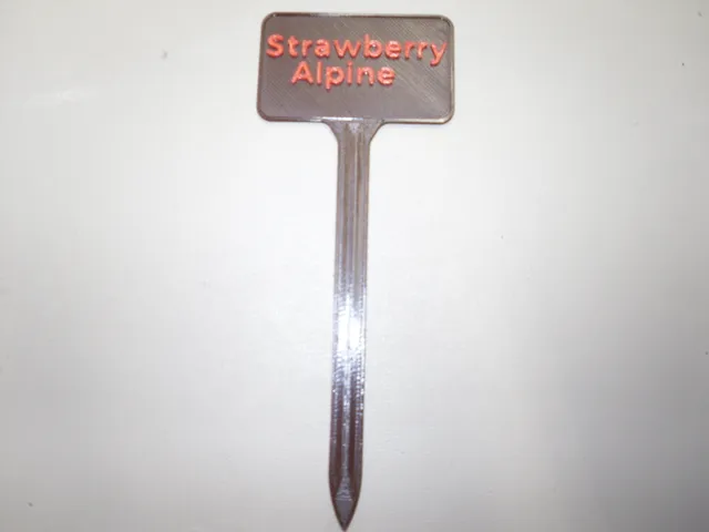 Plant Label Alpine Strawberry