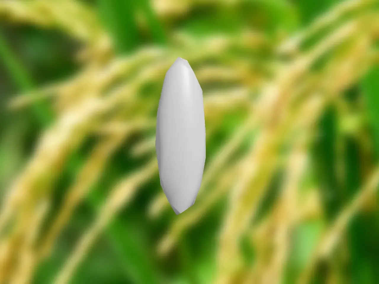 3D Printable Rice Grain by Linksu3D | Download free STL model ...