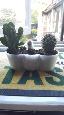 Mini Cactus Planter
