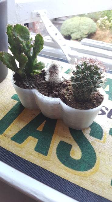 Miniatura 2 do modelo 3D Mini Cactus Planter