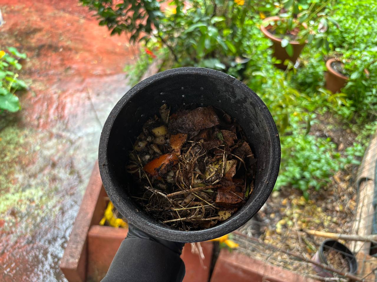 Mini Composter – For Home & Learning — thumbnail 4