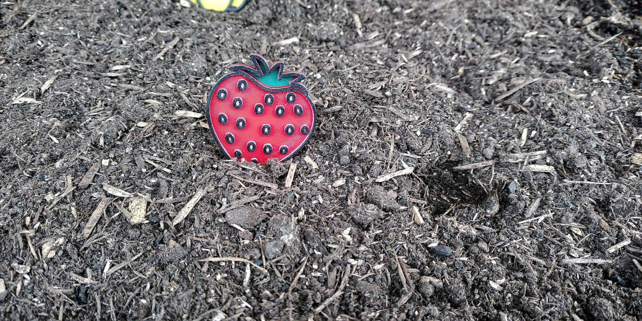 Strawberries 4 color sign for garden (no MMU)