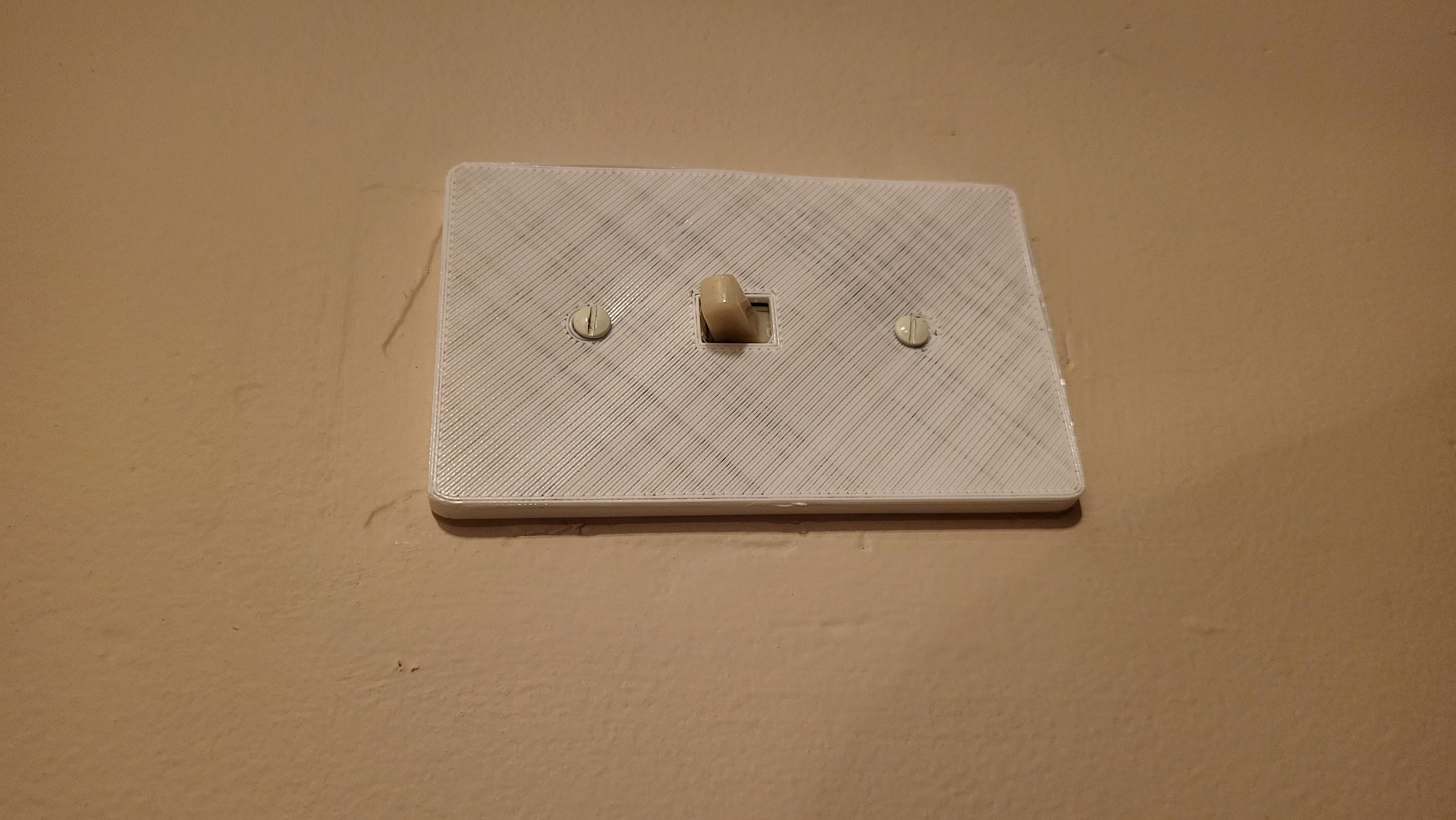 Prank Light Switch Cover