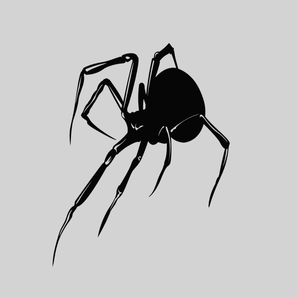 Spider Wall Art