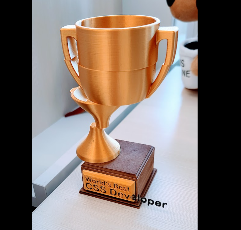  World s Best CSS Developer Trophy By OversizedHat Download Free STL 