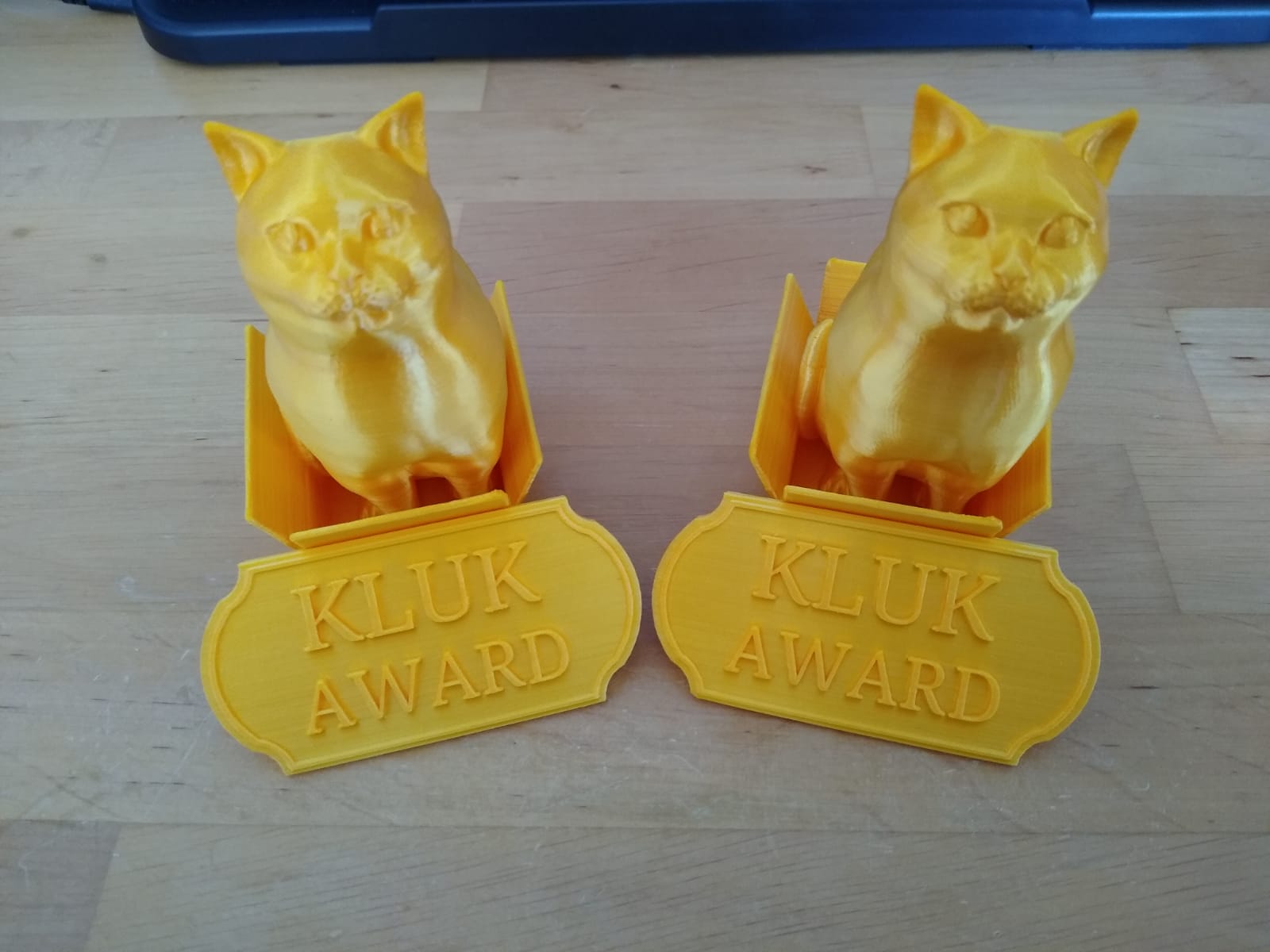 Cat Sitting In A Box with award sign