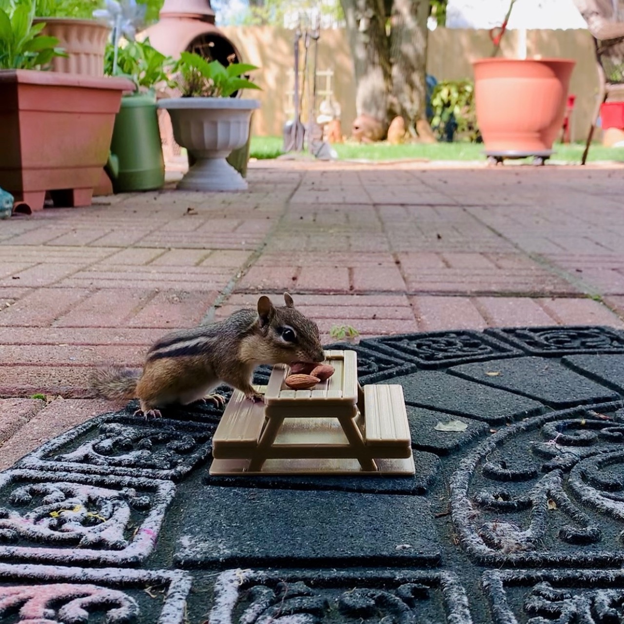 Miniatura 2 do modelo 3D Chipmunk Picnic Table