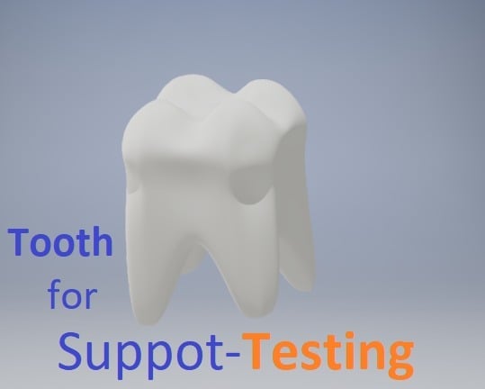 Tooth for Support-Testing 3D model by Modellaner