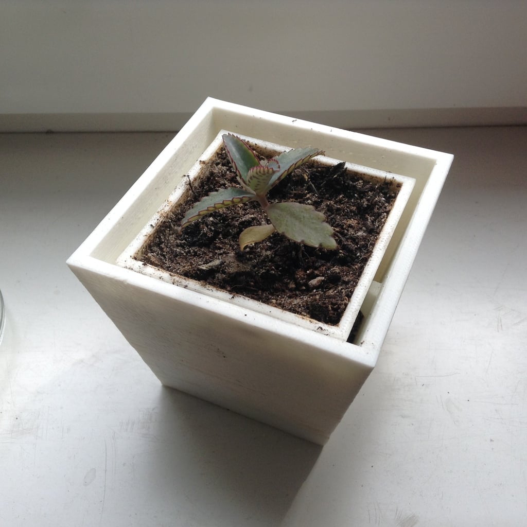Plantpot (hangable)