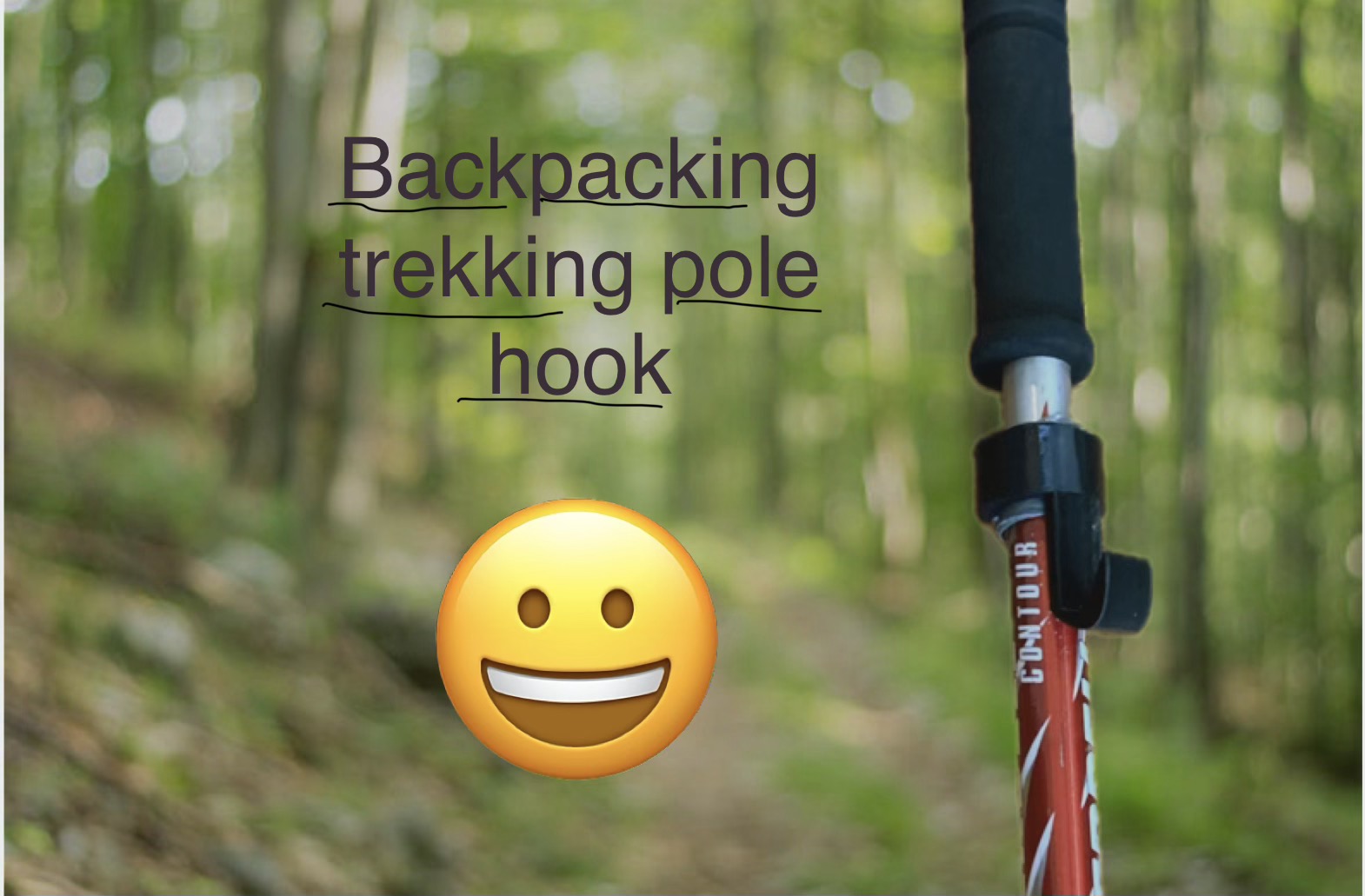 backpacking trekking pole clip on hook