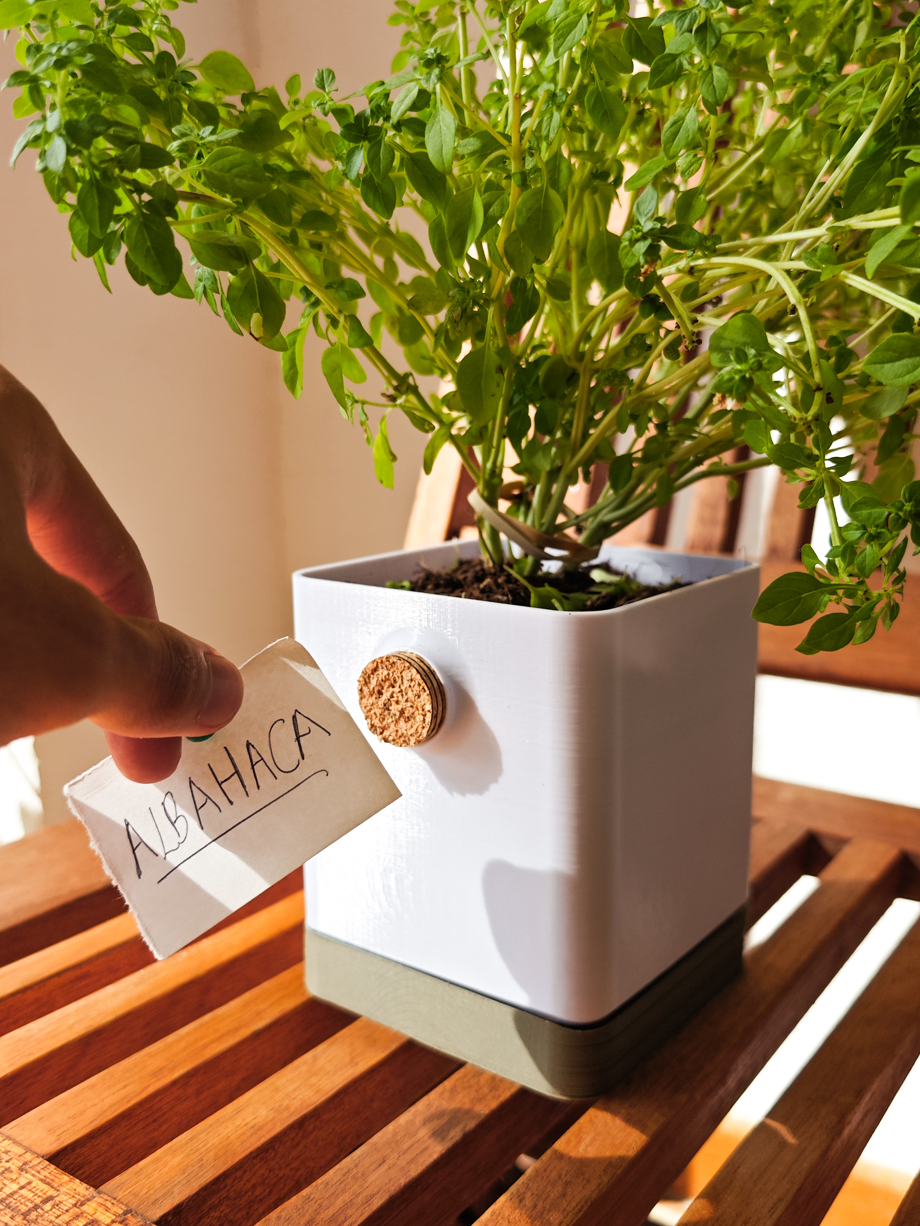 Cork Planter