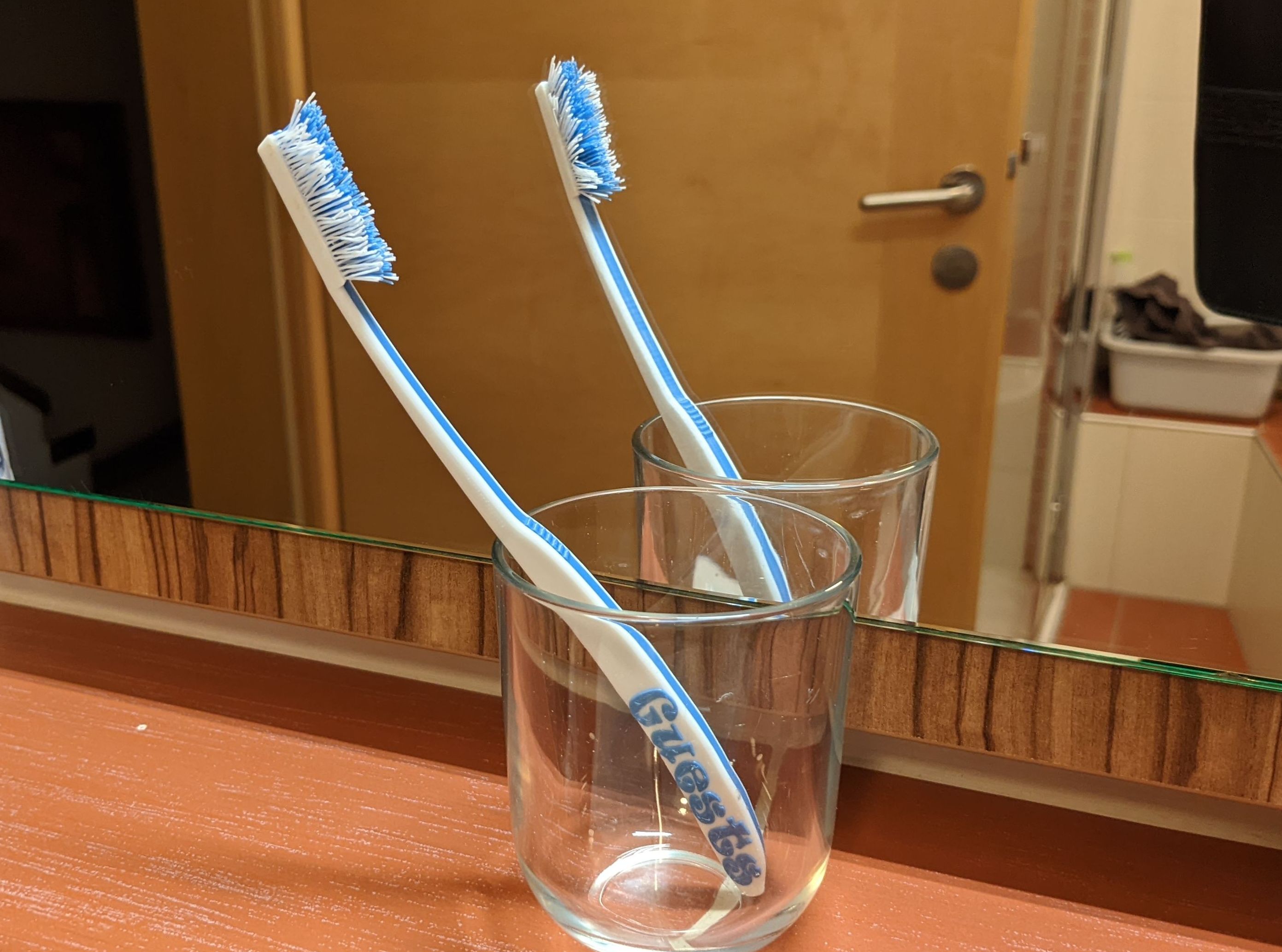 Guests' Toothbrush