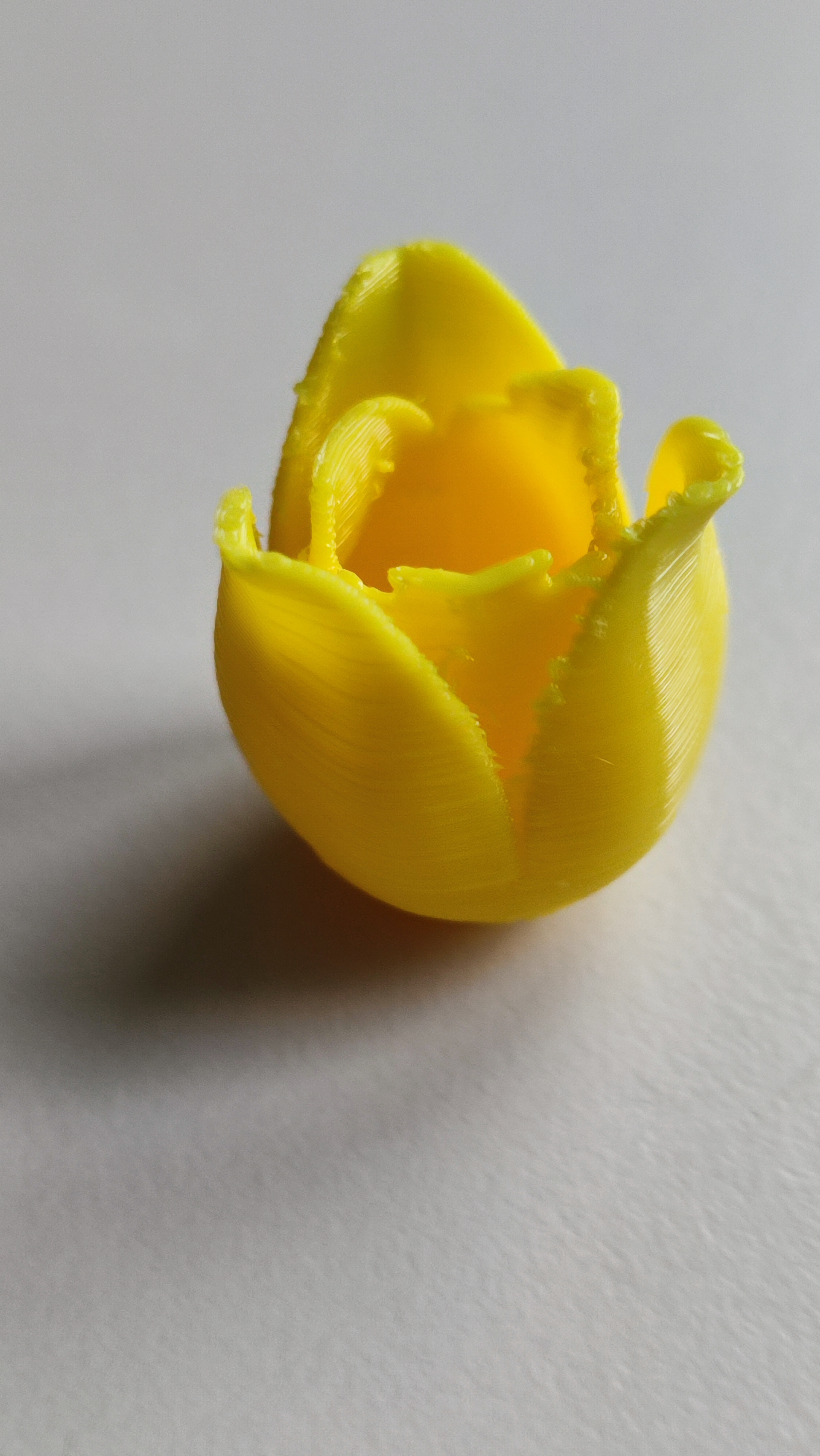 Easter Card with different blossoms — miniatura 4