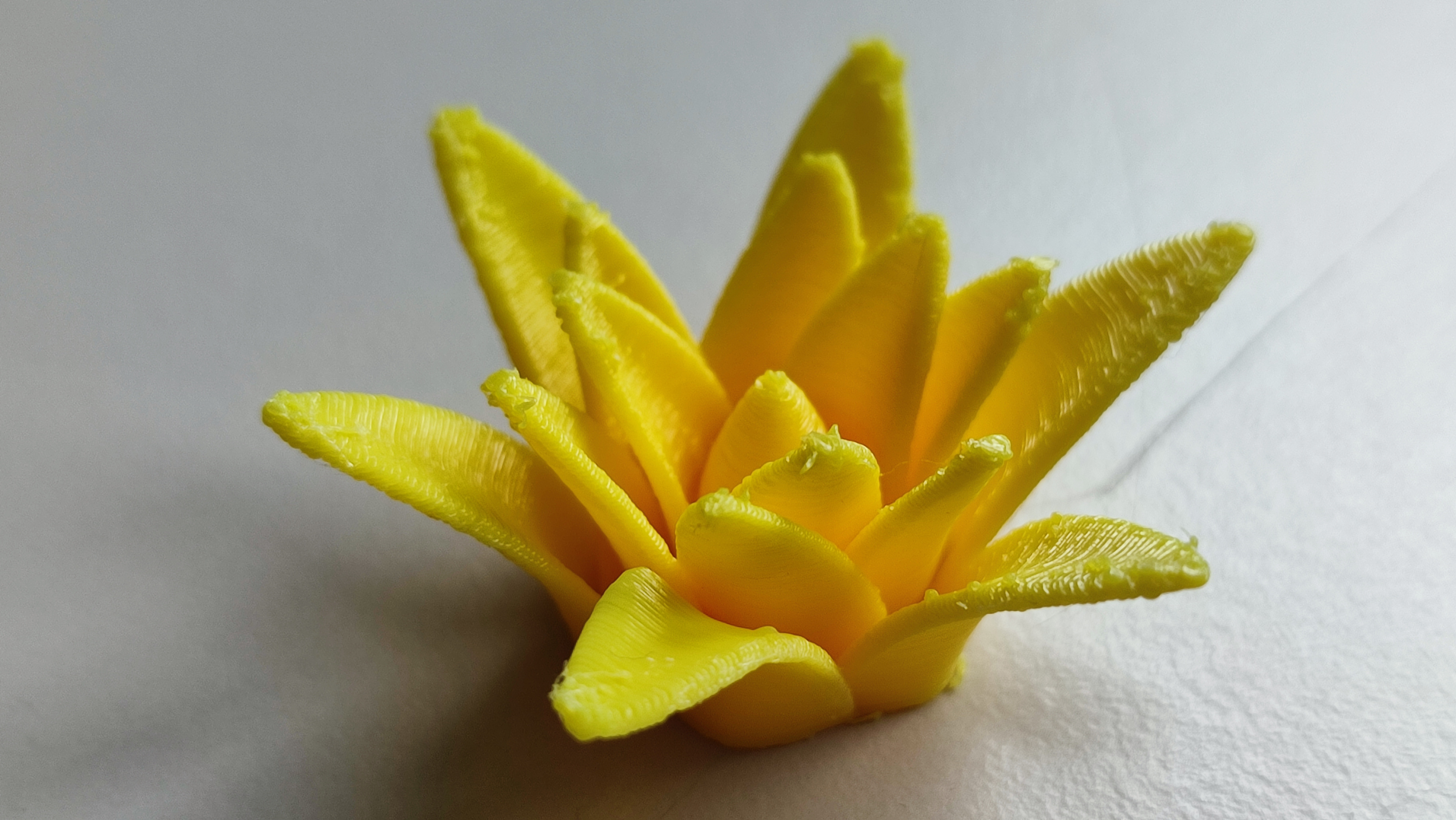 Easter Card with different blossoms — miniatura 5