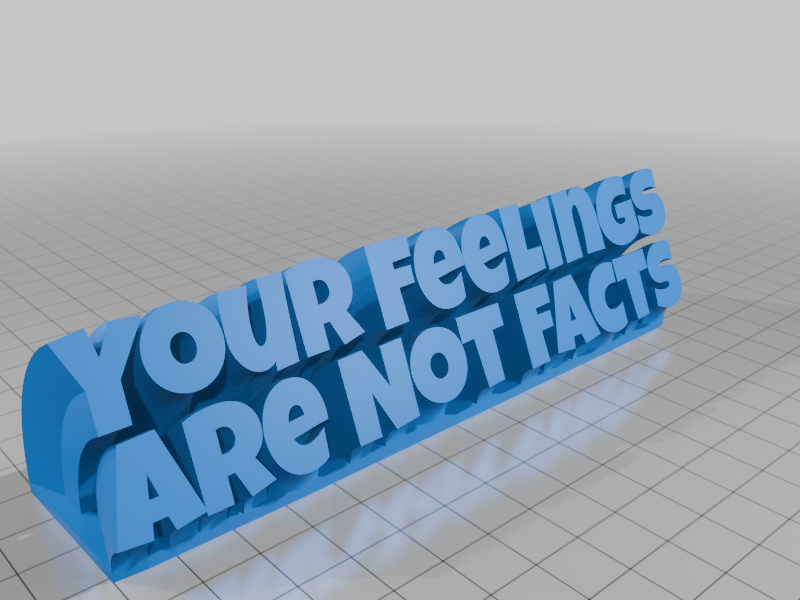 Your Feelings Are Not Facts 3D model by fuzzymakes