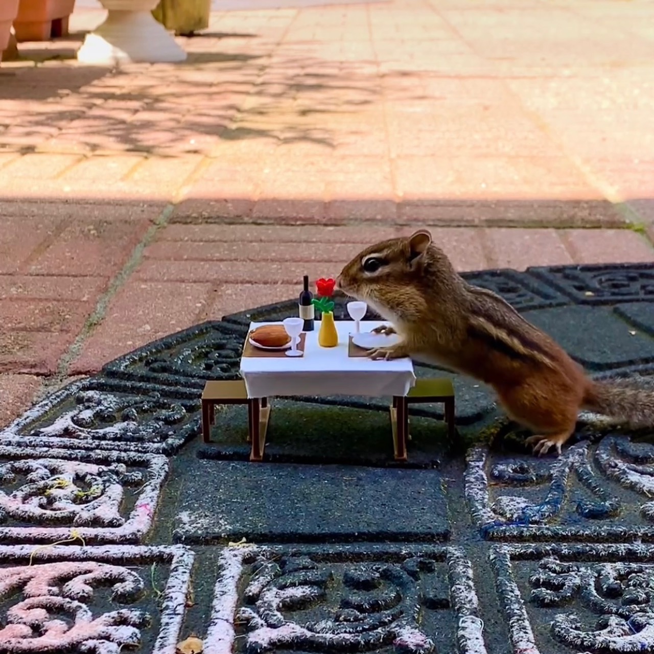 Miniatura 3 do modelo 3D Chipmunk Dining Table