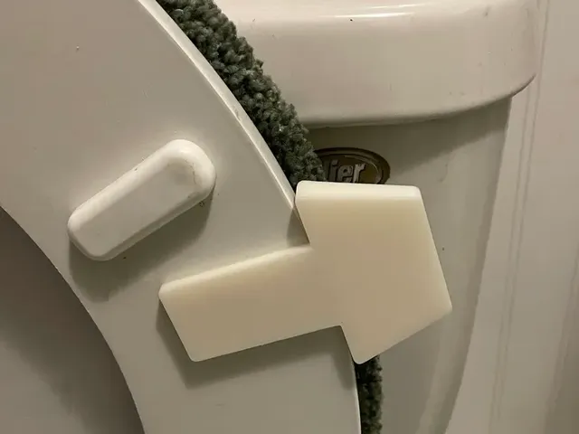 Toilet seat lifter handle