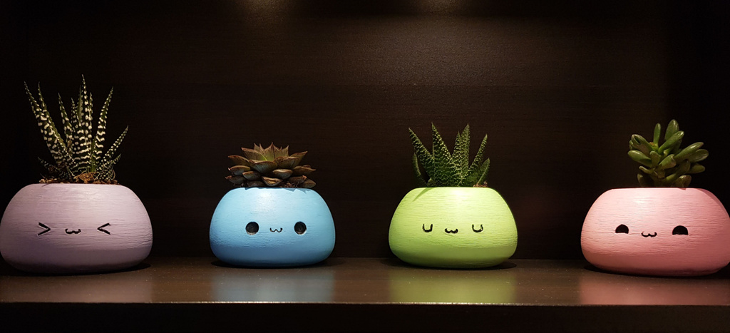 owo pots