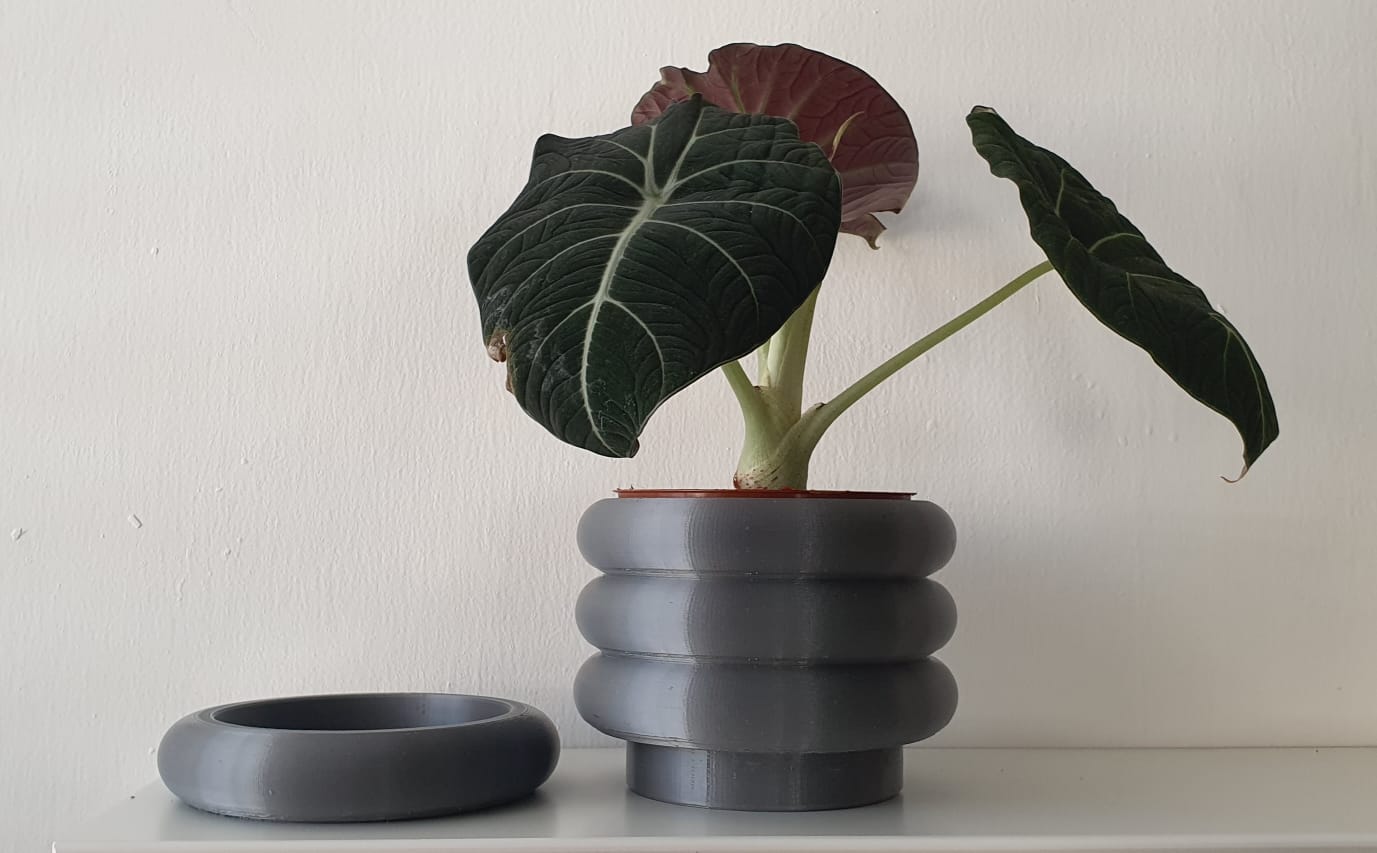 Rings Planter with Ring Tray