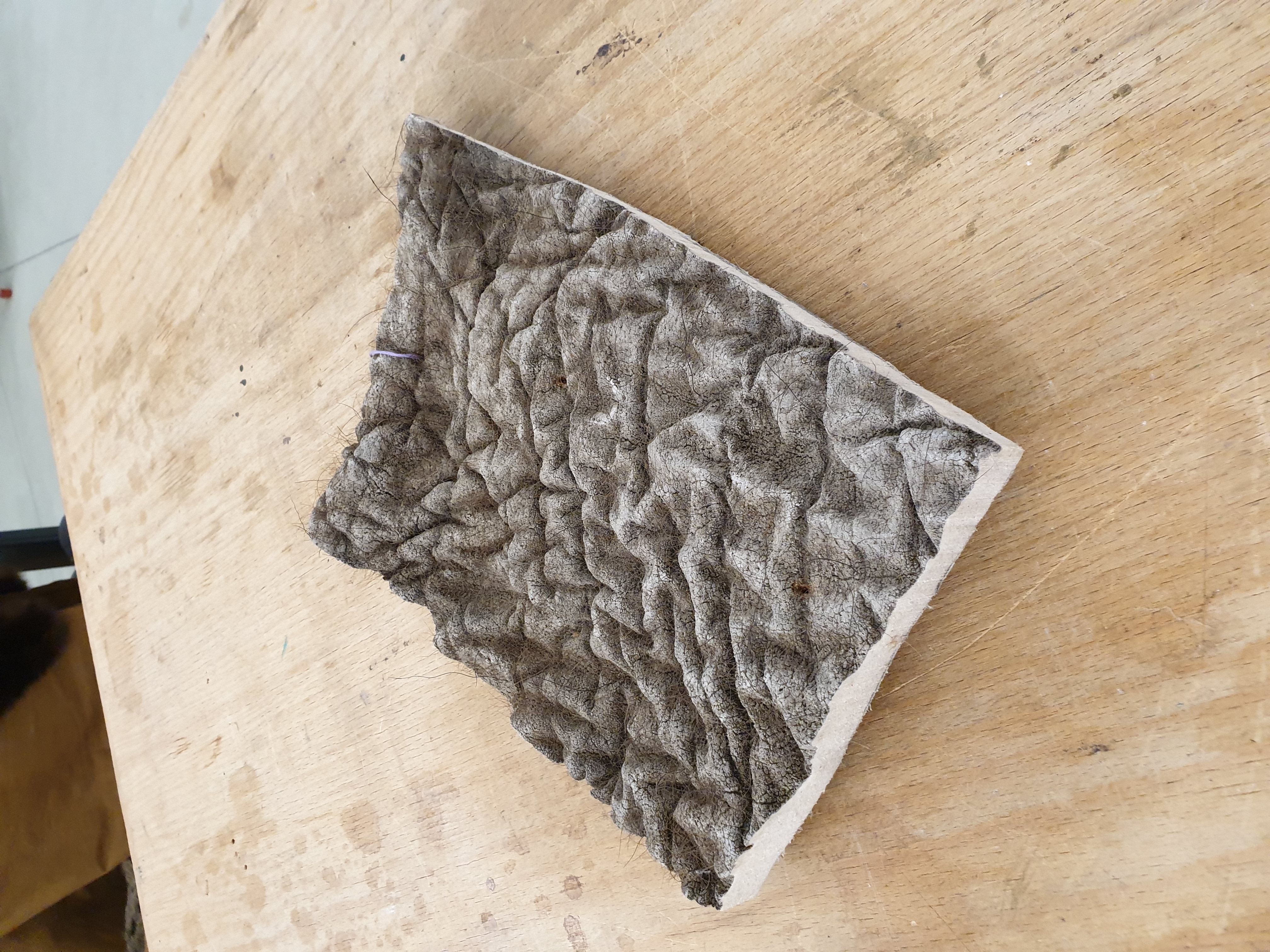 Elefant Skin 3D Scan