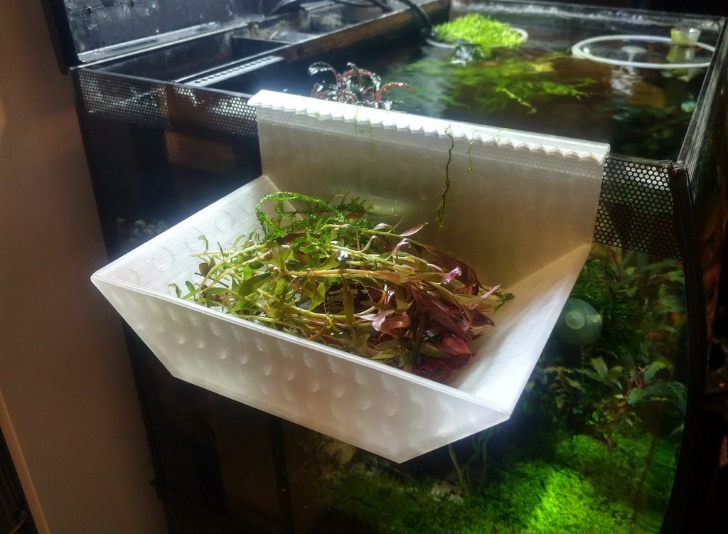 Aquarium hang on tray