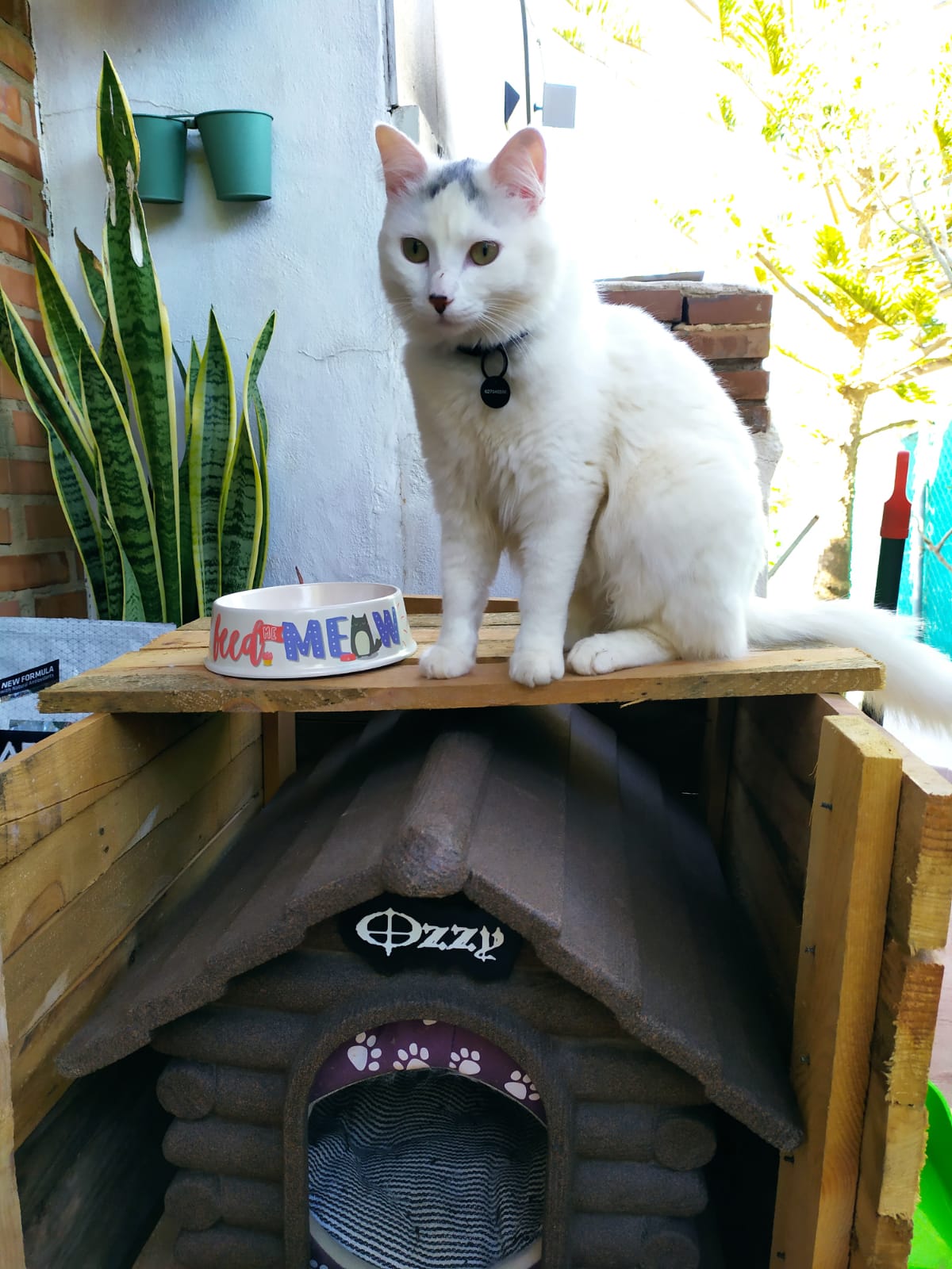 Ozzy name plate