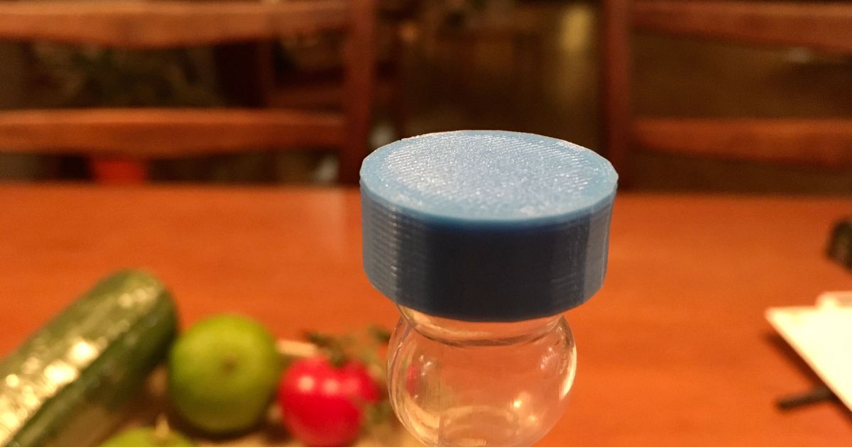 Airlock cap by Loek Download free STL model