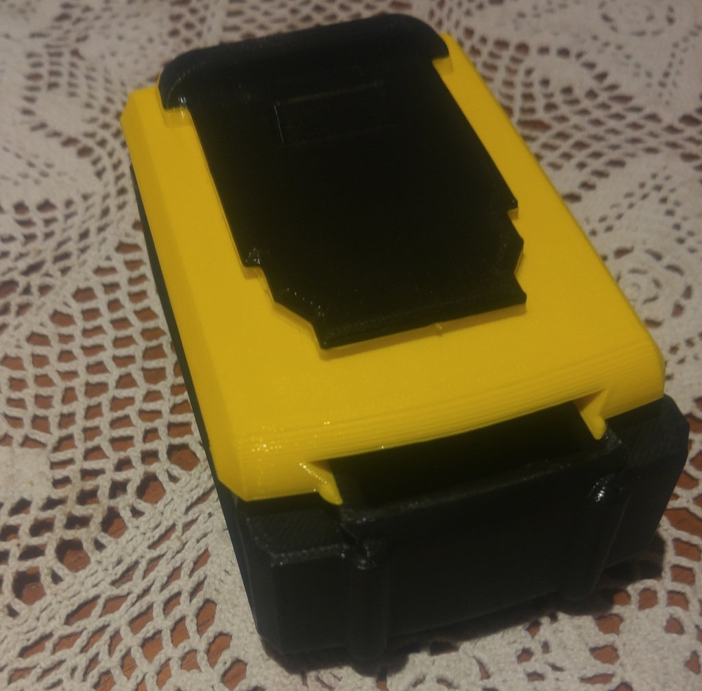 Dewalt XR Battery container