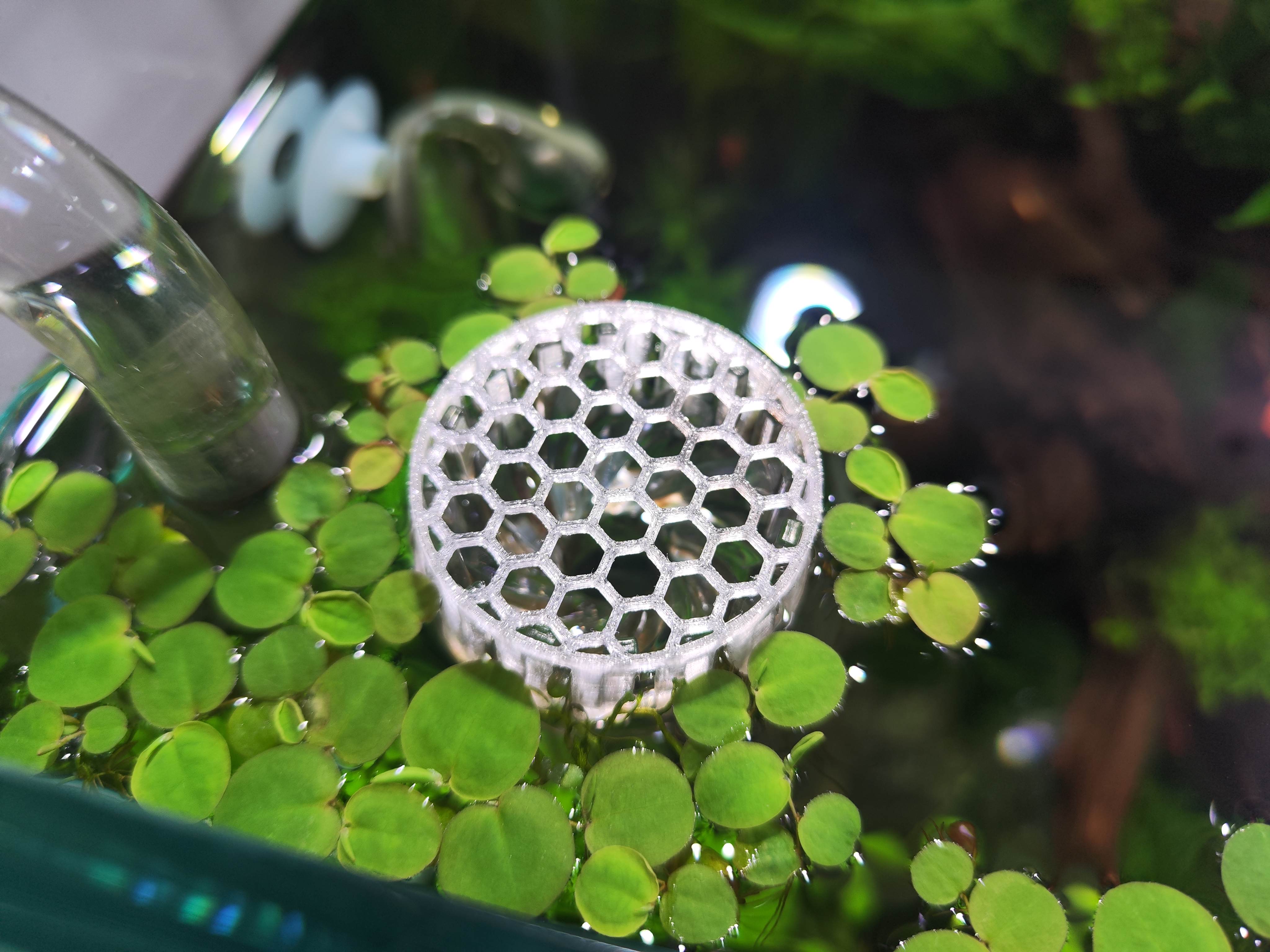 Skimmer Shrimp Guard 40mm