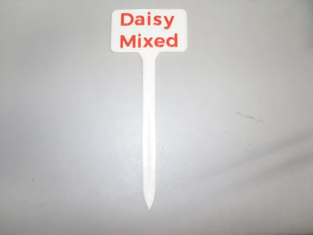Plant Label Daisy Mixed
