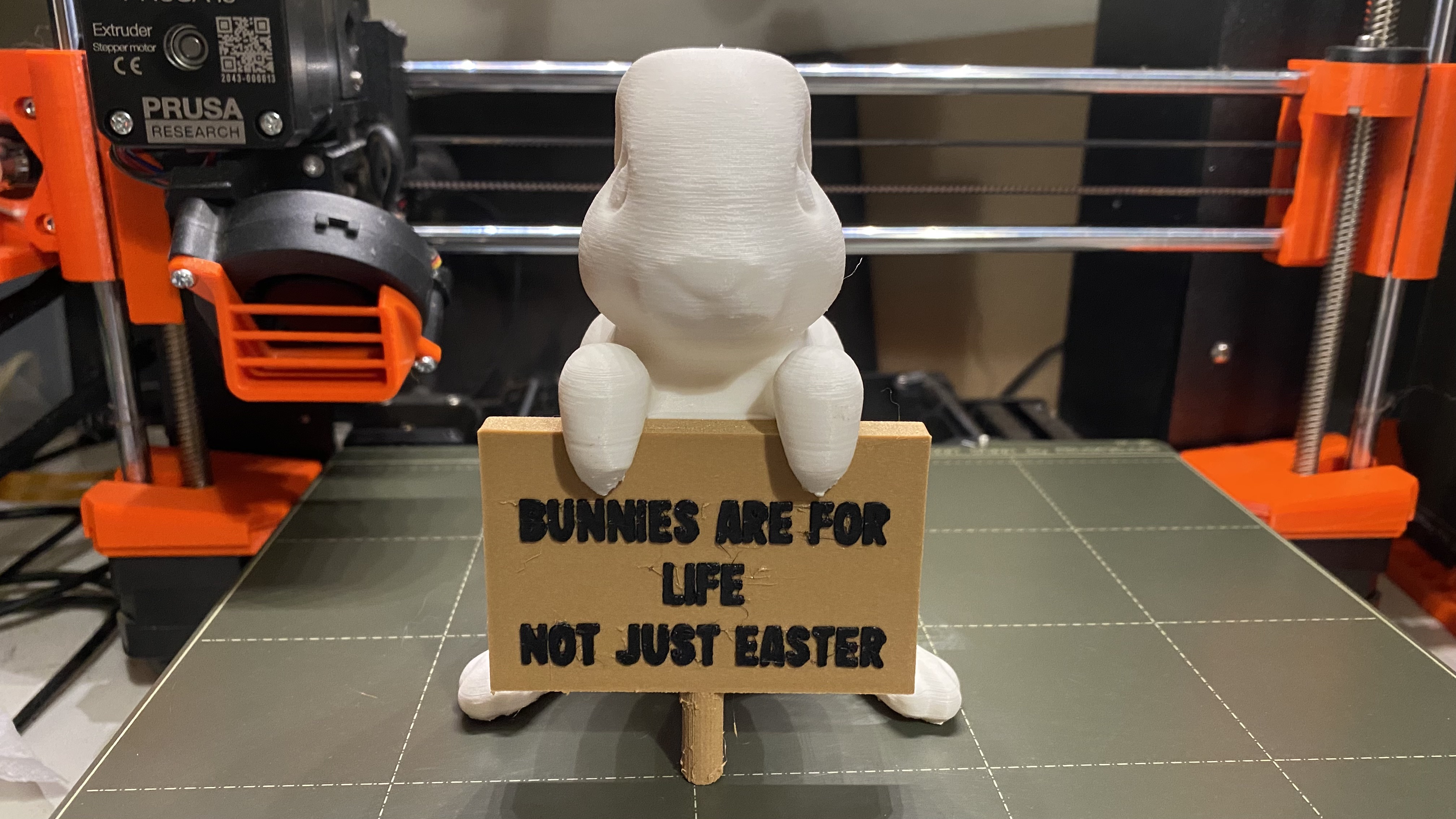 Mew the Protest Bunny (Easter Edition)