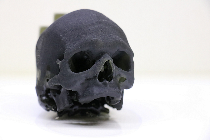 Holey Skull