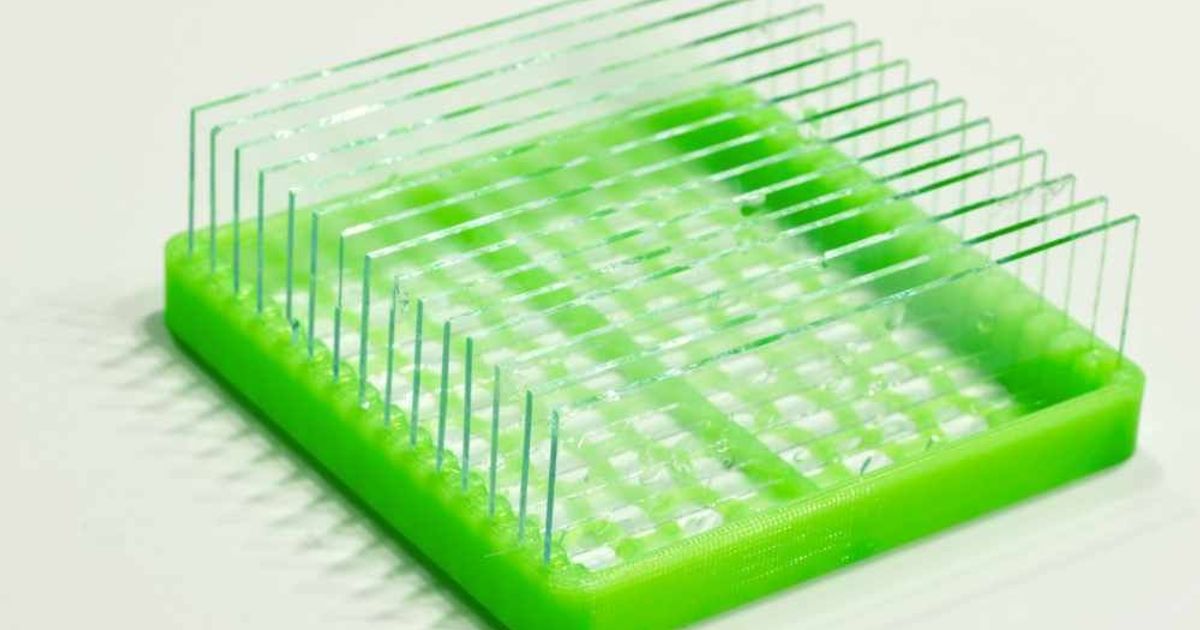 Microscope Slide Holder / dry rack by Spotmatic Download free STL