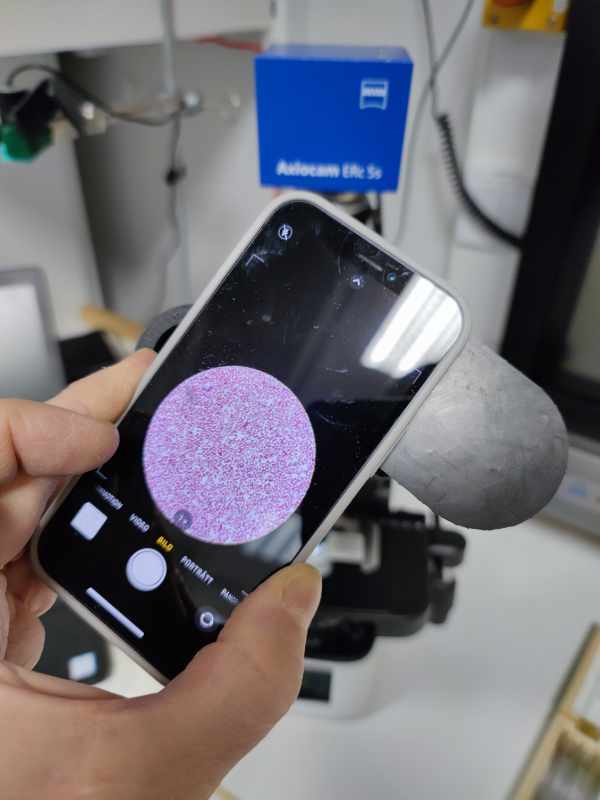 Mobile Camera to Microscope ( Spacer ) by Spotmatic | Download free STL ...